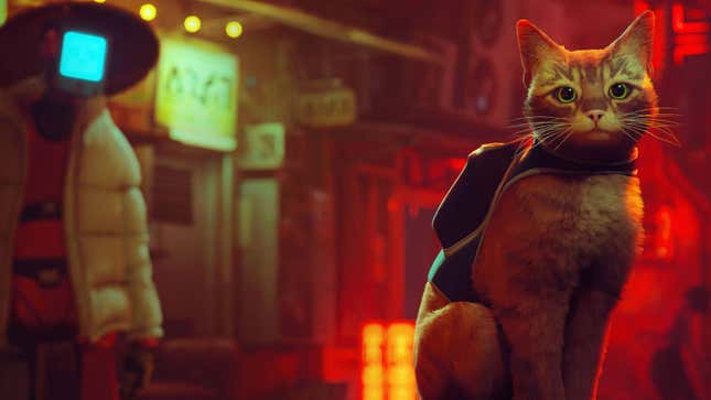 The cat protagonist of Stray sits with a backpack device.